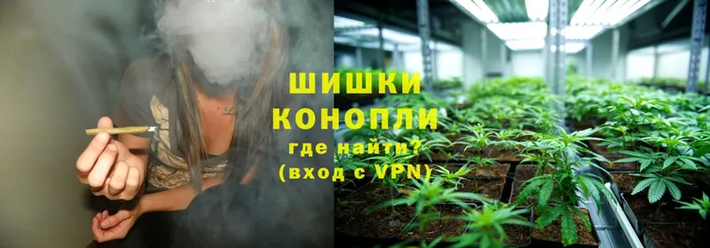 Бошки марихуана THC 21%  Урюпинск 